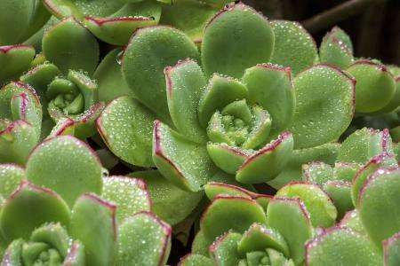 һ980!֣ݾһСթƭŻ