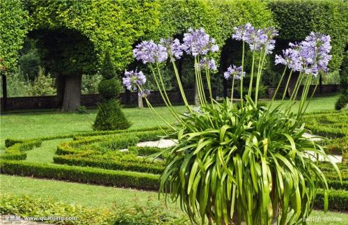 3124ʱͼ۸ÿϵ90Ԫ85Ԫ