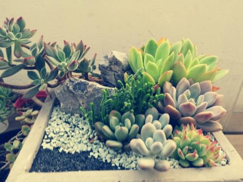 ɽһС5δůνģ31չů